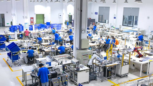 捂了三年，阿里的犀牛工廠到底在“織”什么？